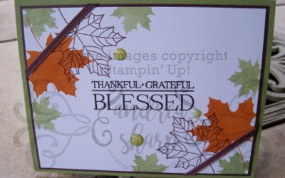 Blessed Thanksgiving