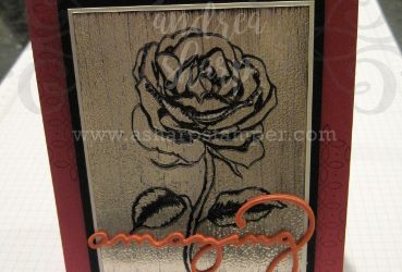 Black Ice Experiment