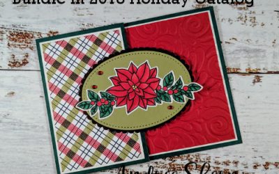 Poinsettia Prettiness