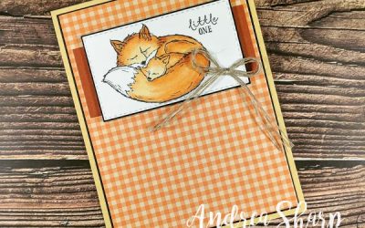 Welcome Baby Archie!