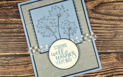 Stay Well Julia Louis-Dreyfus