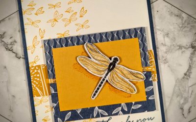 Thanks For Dragonflies