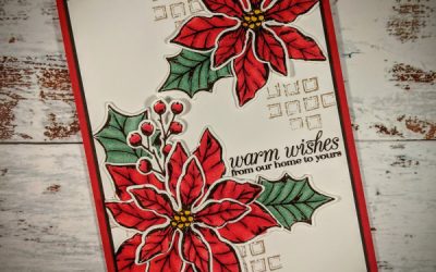 Poinsettia Prettiness