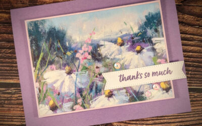 Daisy PP Alternative