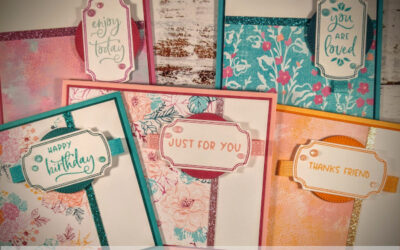 2024-26 In Color Class