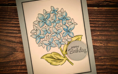Blue Hydrangea Birthday