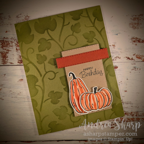 Birthday card with vine background and focal image with two orange pumpkins.